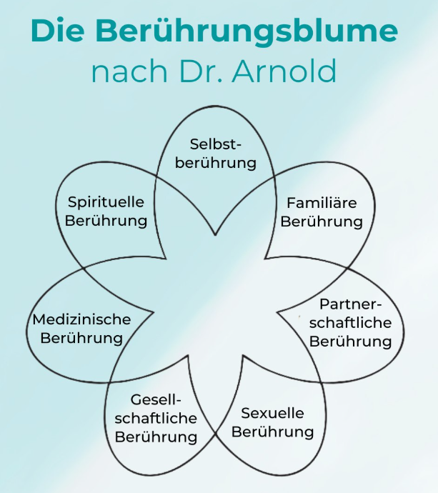 Die Berührungsblume nach Dr. Arnold — Modell aus dem Berührungsbuch