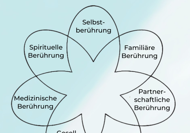 Beruehrungsblume Modell
